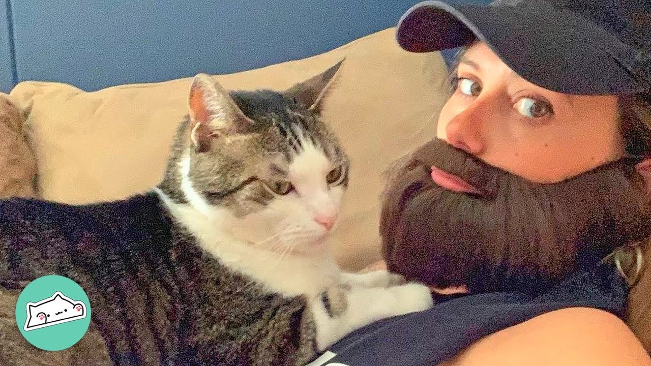 Cat Ignores Woman Unless She Puts A Beard On | Furry Buddies