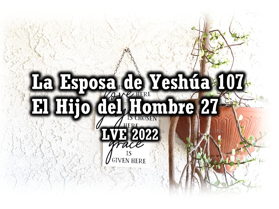 La Esposa de Yeshúa 107 - El Hijo del hombre 27