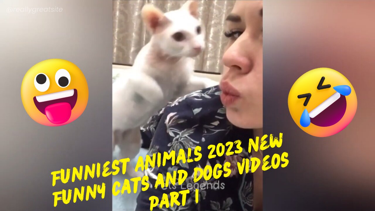 Funniest Animals 2023 New Funny Cats and Dogs Videos Part 1