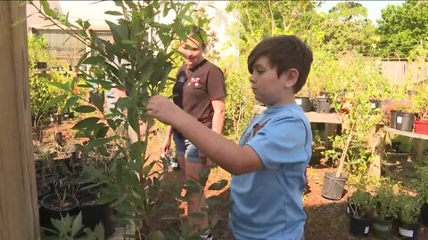 Tampa nursery teaches kids that bugs are our friends