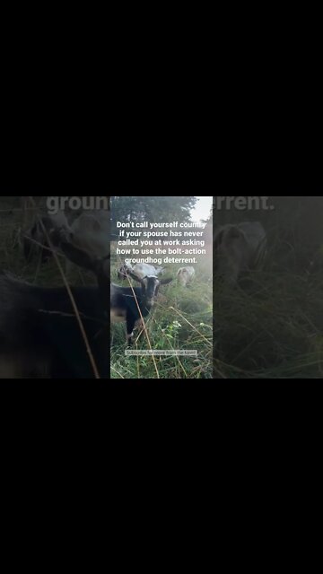 Don't Call Yourself Country If.... #shorts