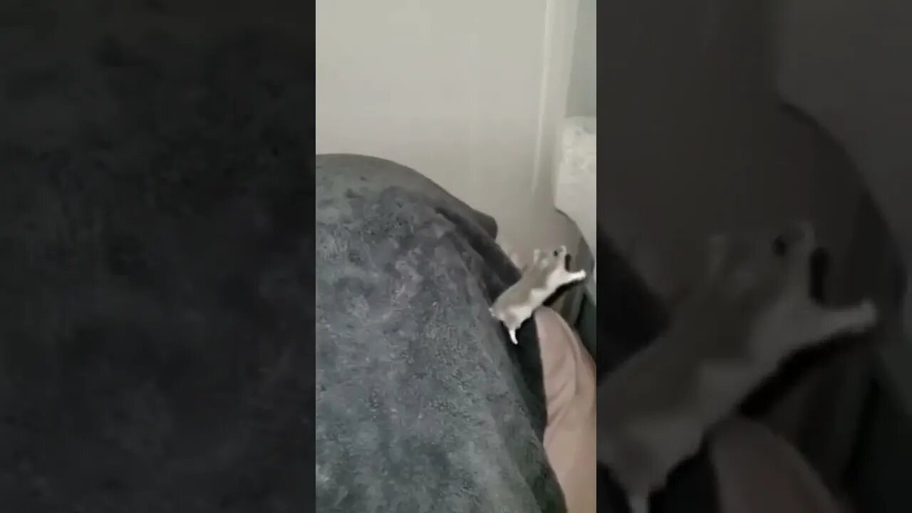 I believe I can fly