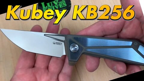 Kubey KB256 XUANYUAN titanium frame w/AUS10 blade and fidget addictive !