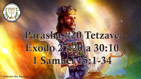 Parasha #20 Tetzave