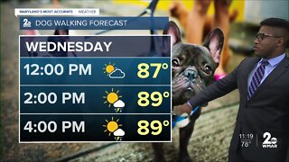 WMAR-2 News Patrick Pete Tuesday weather