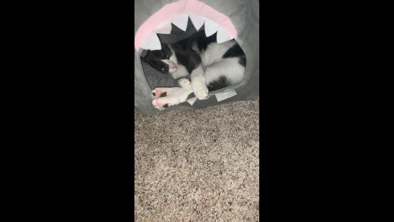 My Space Only!