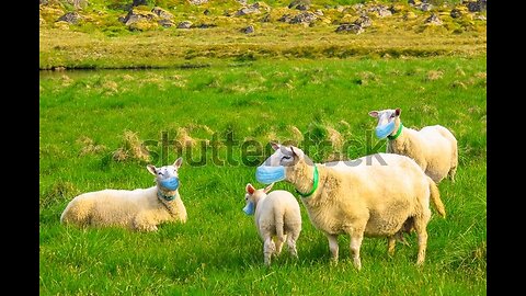 "SAVE THE PLANET" 👌