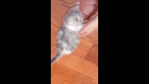 Cute baby ❤️