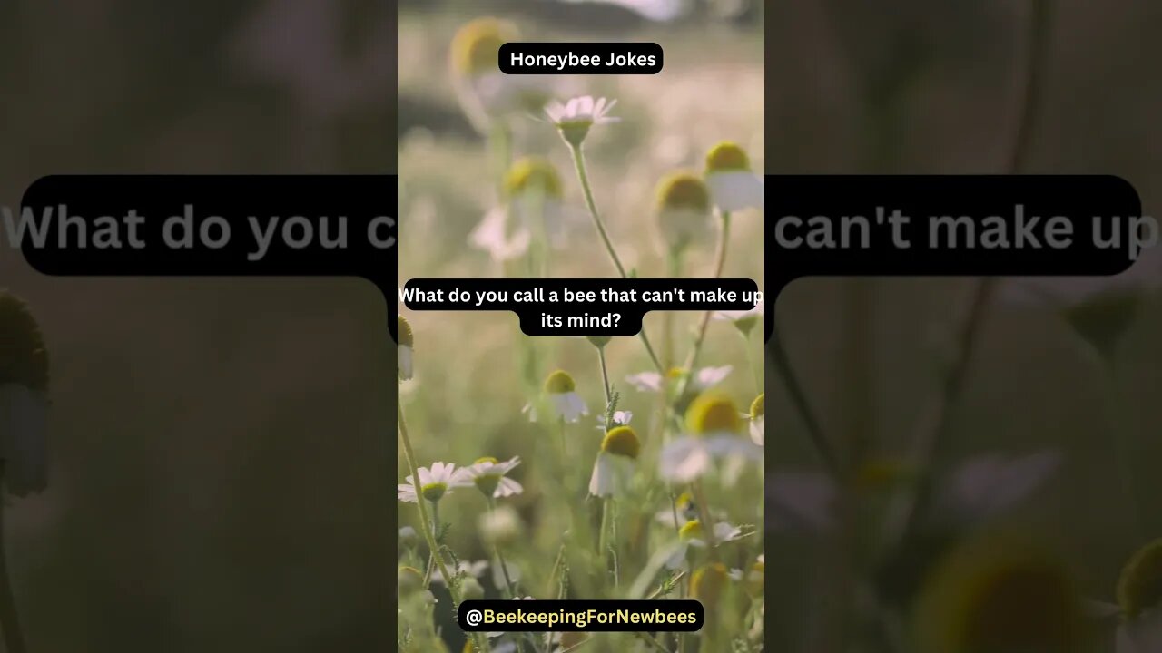 Buzzing with Bee Joy! 🐝😅 - 10 Seconds of Giggles