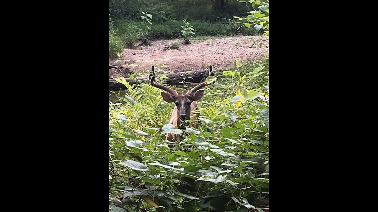 Dinner for a couple of bucks