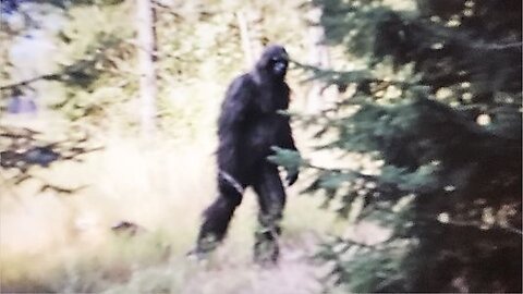 Top 10 Bigfoot Sightings That PROVE It Exists