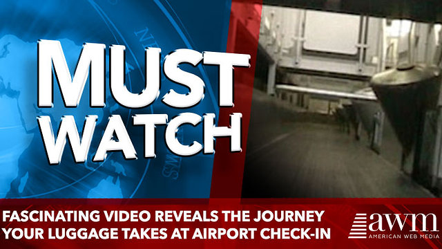 Fascinating video reveals the journey your luggage takes after airport check-in