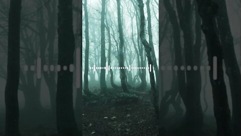 Highway Ghost - Reddit Scary Stories