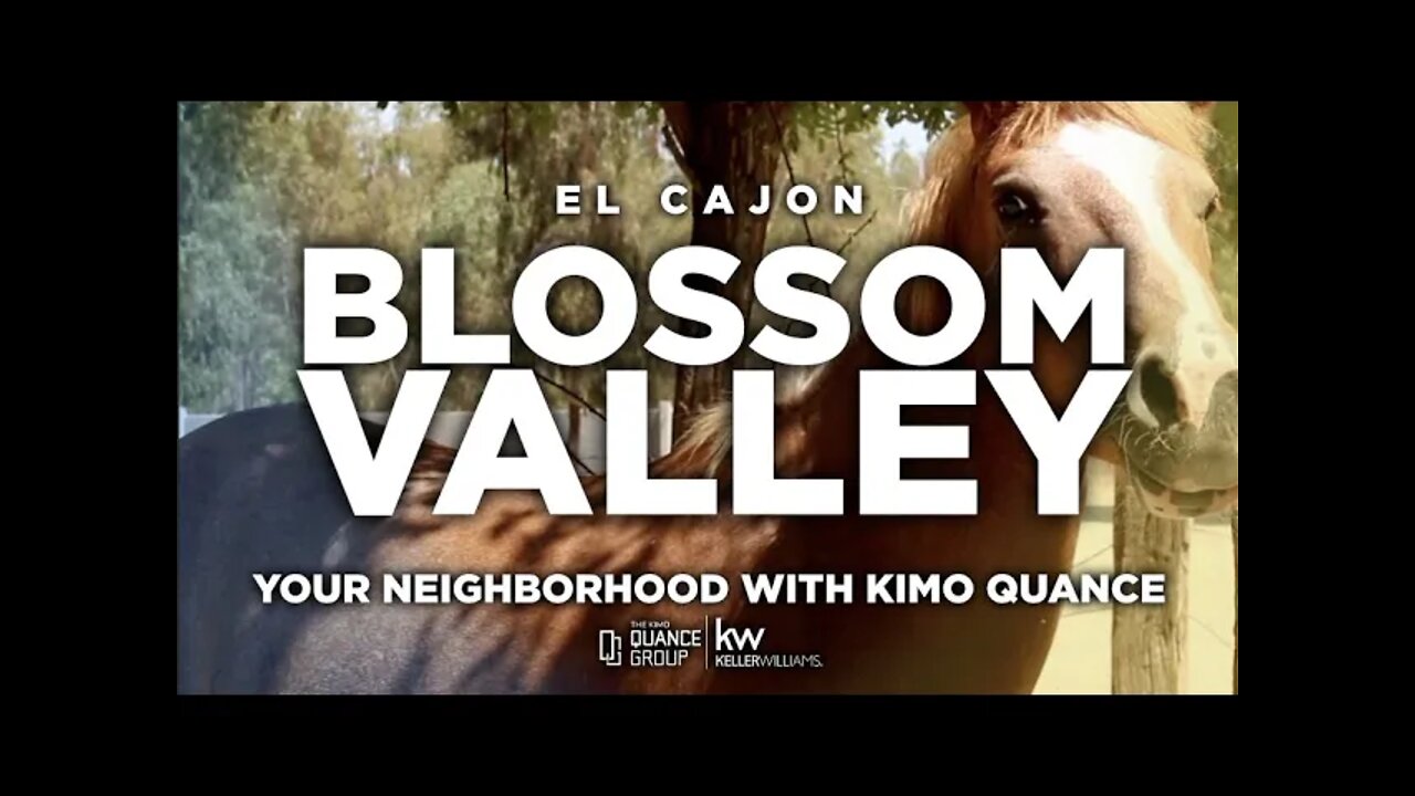 Your Neighborhood with Kimo Quance (EPISODE 10: BLOSSOM VALLEY)