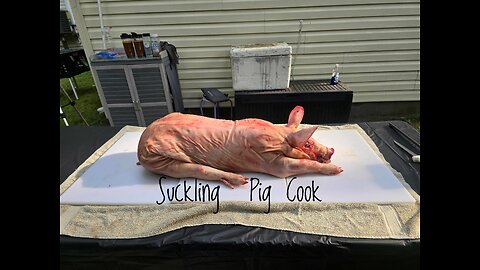 Suckling Pig Cook (Pt. 1)