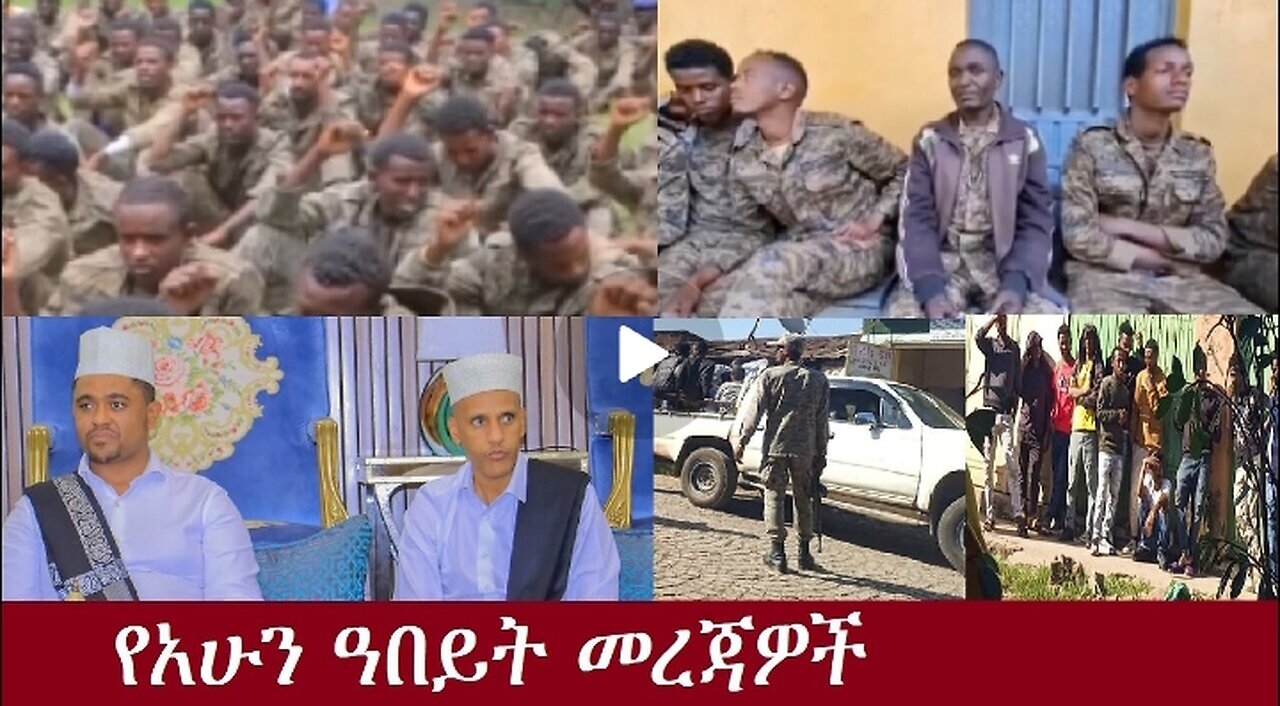 የአሁን ዓበይት መረጃዎች Nov 12,2024 #dere news #dera zena #zena tube #derejehabtewold #ethiopianews