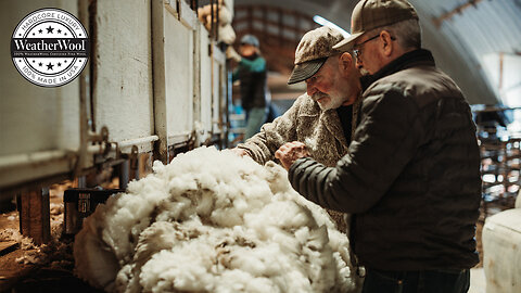 The Wool In WeatherWool : We Visit The Innes Ranch