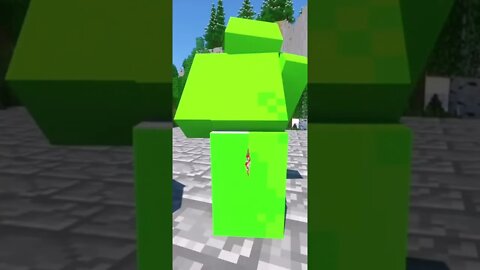 Minecraft #tiktok #Shorts