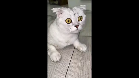 Sonya is shocked by a new friend