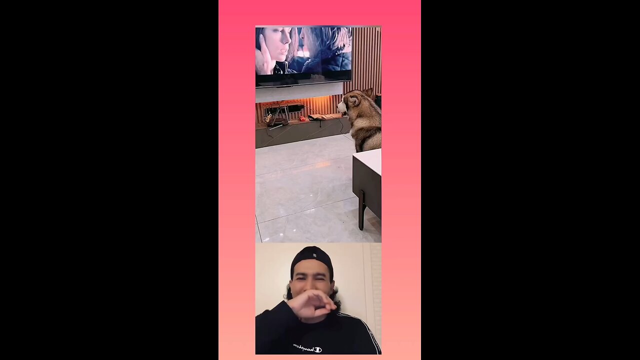 funny dog reaction 🤣🤣