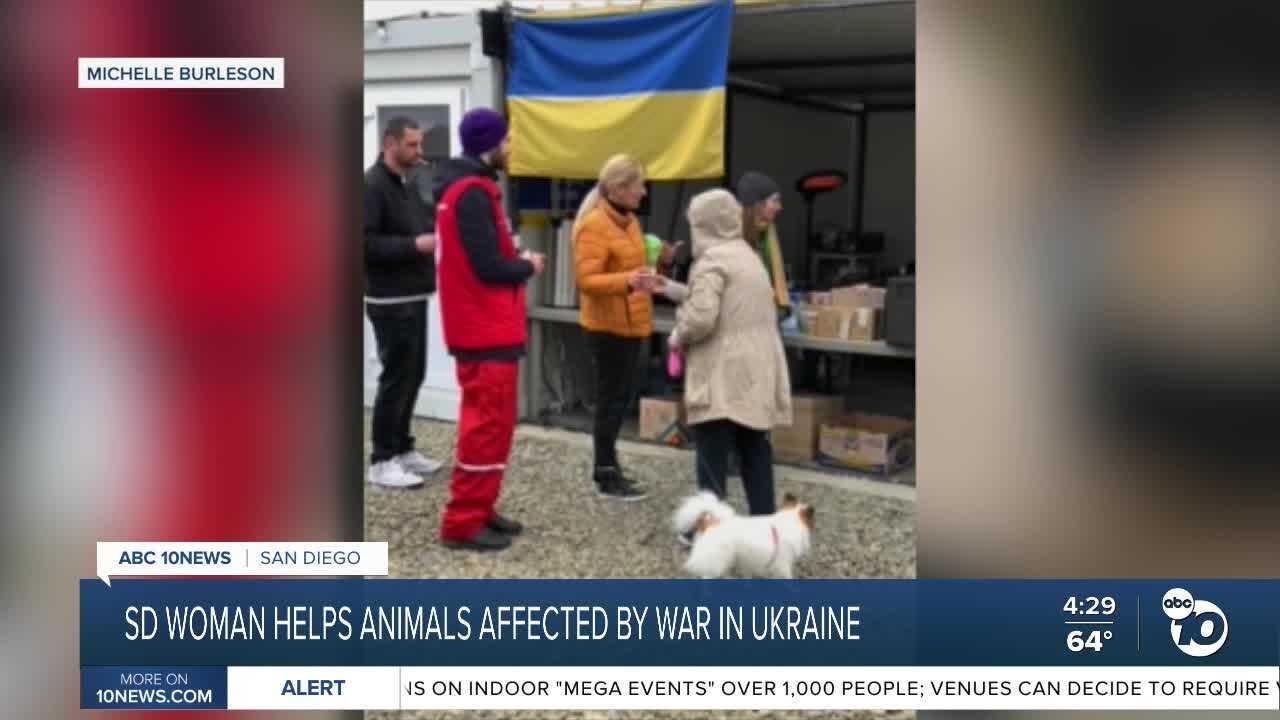 San Diego woman helping animals affected by war in Ukraine