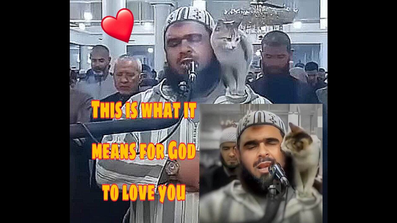 Cat kissing the imam of the mosque atna prayer🤍🥹