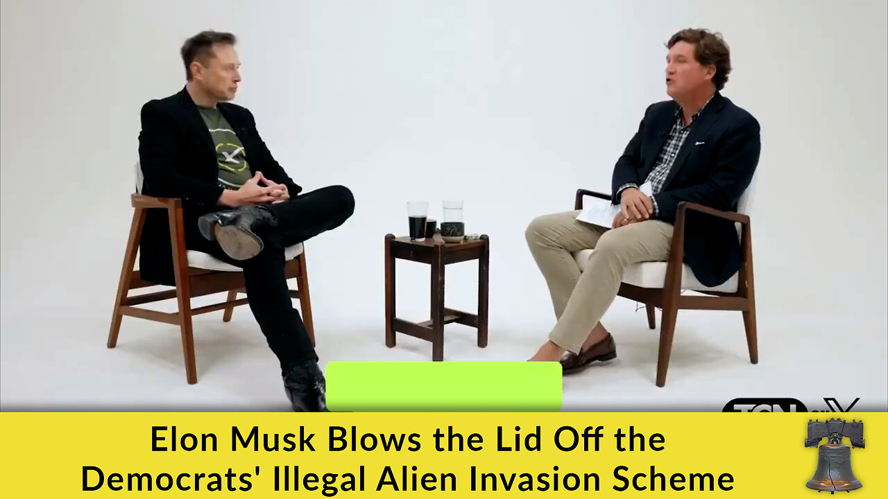 Elon Musk Blows the Lid Off the Democrats' Illegal Alien Invasion Scheme