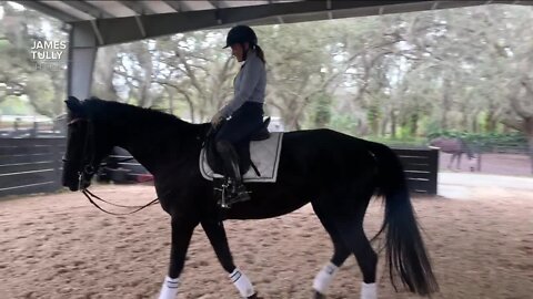 Woman builds equestrian center in Seffner