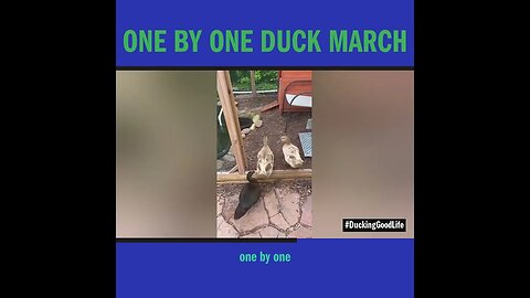 One by One Duck March