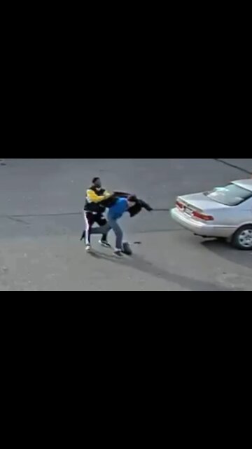 Good Samaritan Wallops Would Be Purse Thief