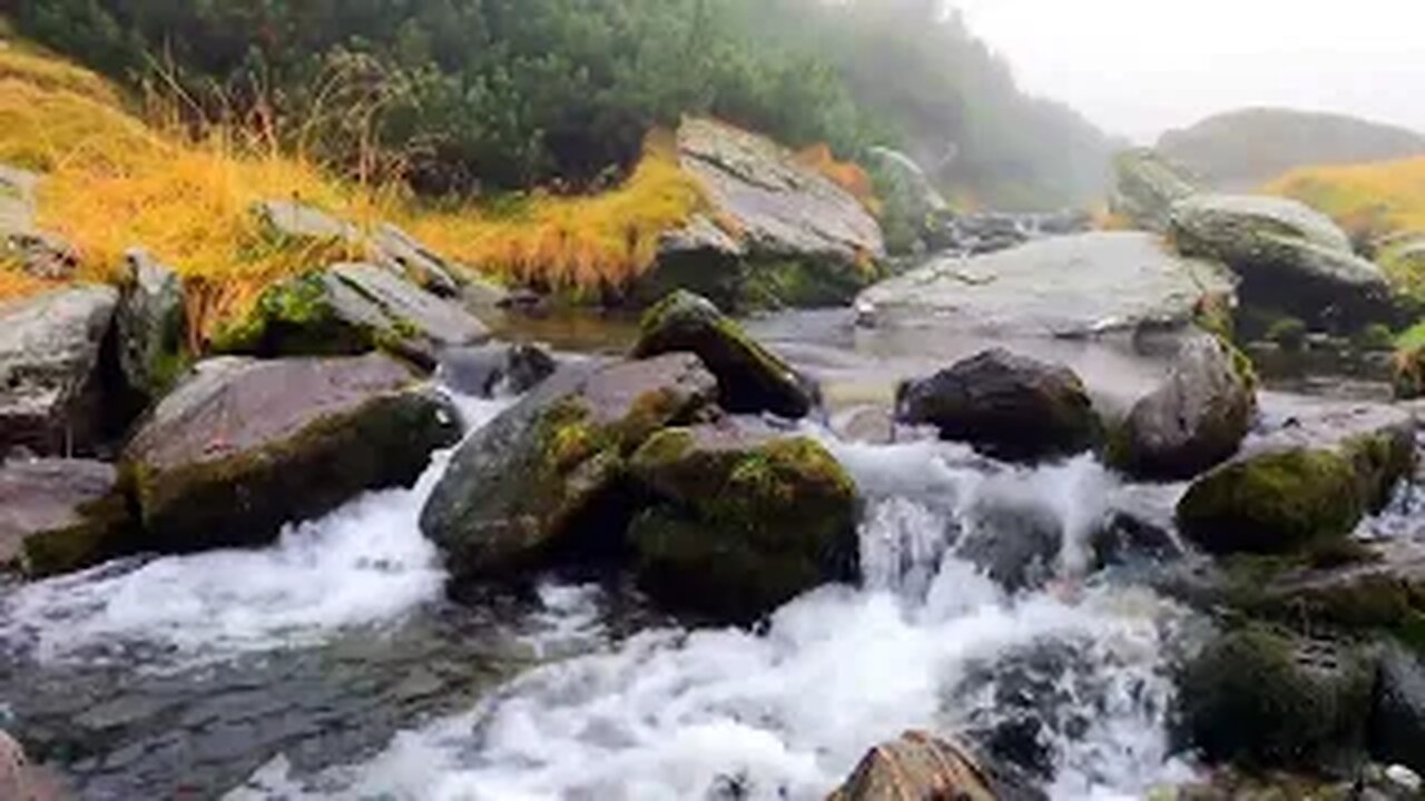 Rainforest Waterfall: Reconnect with Nature and Reduce Stress for relaxation.