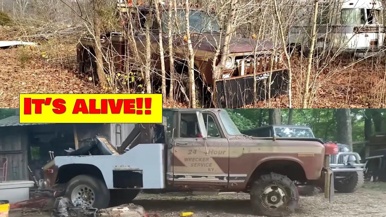 1970's International Harvester truck update! IT'S ALIVE!! 8 ACRE PICKER'S PARADISE LIVES ON!