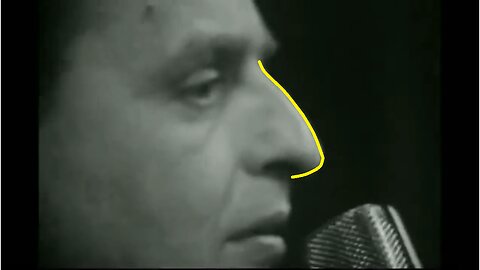 Wallenbergarnas Nickedocka?