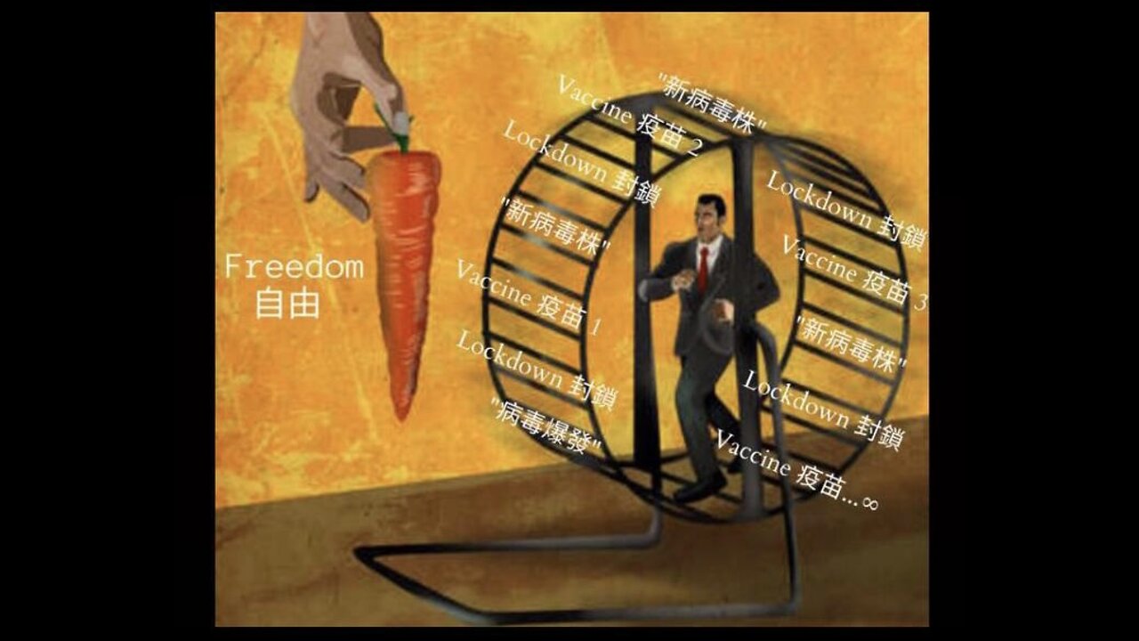 強尼大哥聊天室（8）訪問韋恩、Daniel
