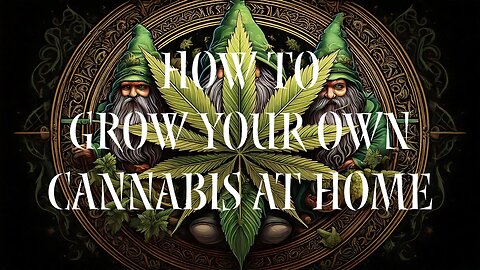 How To Grow Your Own Cannabis At Home