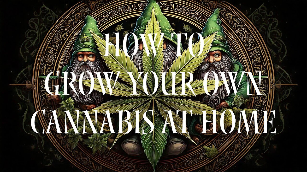 How To Grow Your Own Cannabis At Home