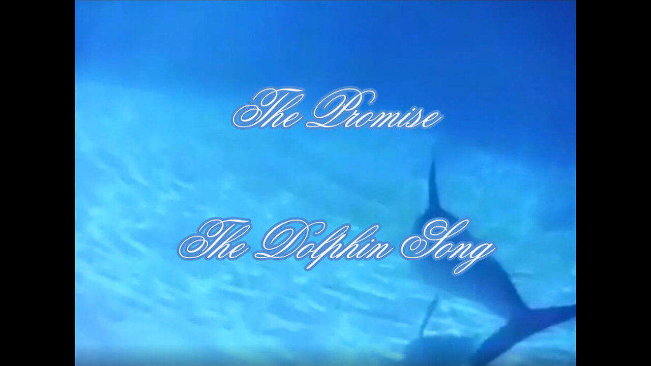 Save Our Aquatic Ocean Life