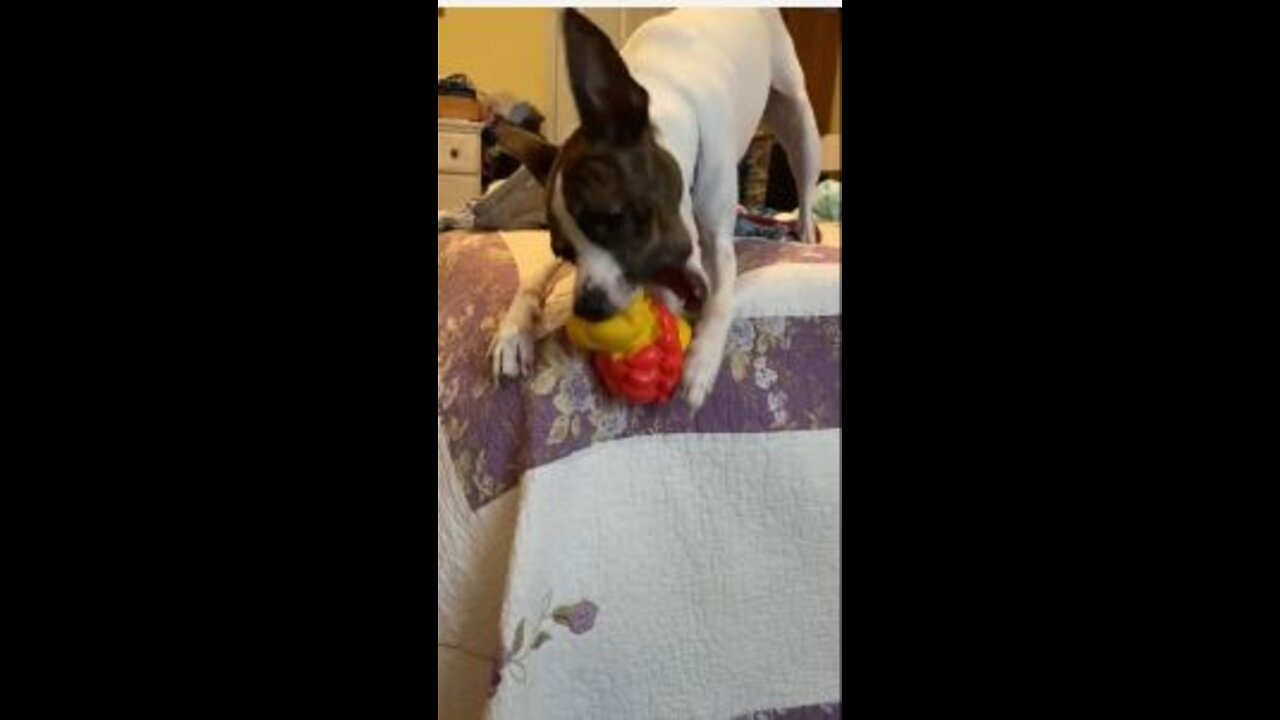 Princess plays with lion on corner of the bed