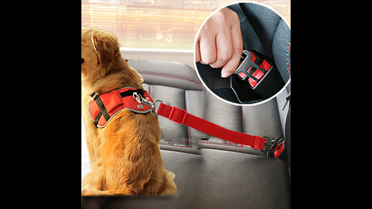 Safe Pet Travel: Adjustable Dog Cat Car Seat Belt - Harness Collar - Dog Lead Clip - Pet Product