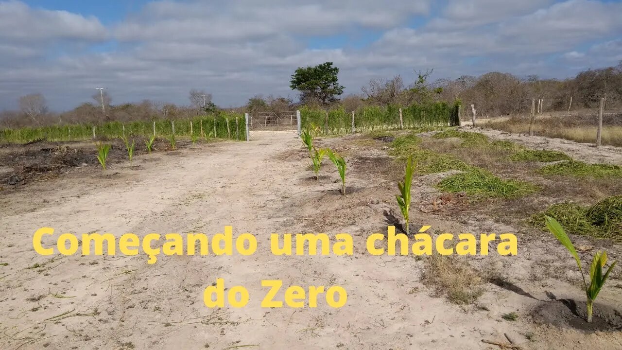 Começando uma chacára do Zero antes e depois ainda em processo Chácara Rancho Dutra minha chácara