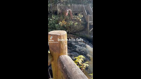 Busch Kills Falls