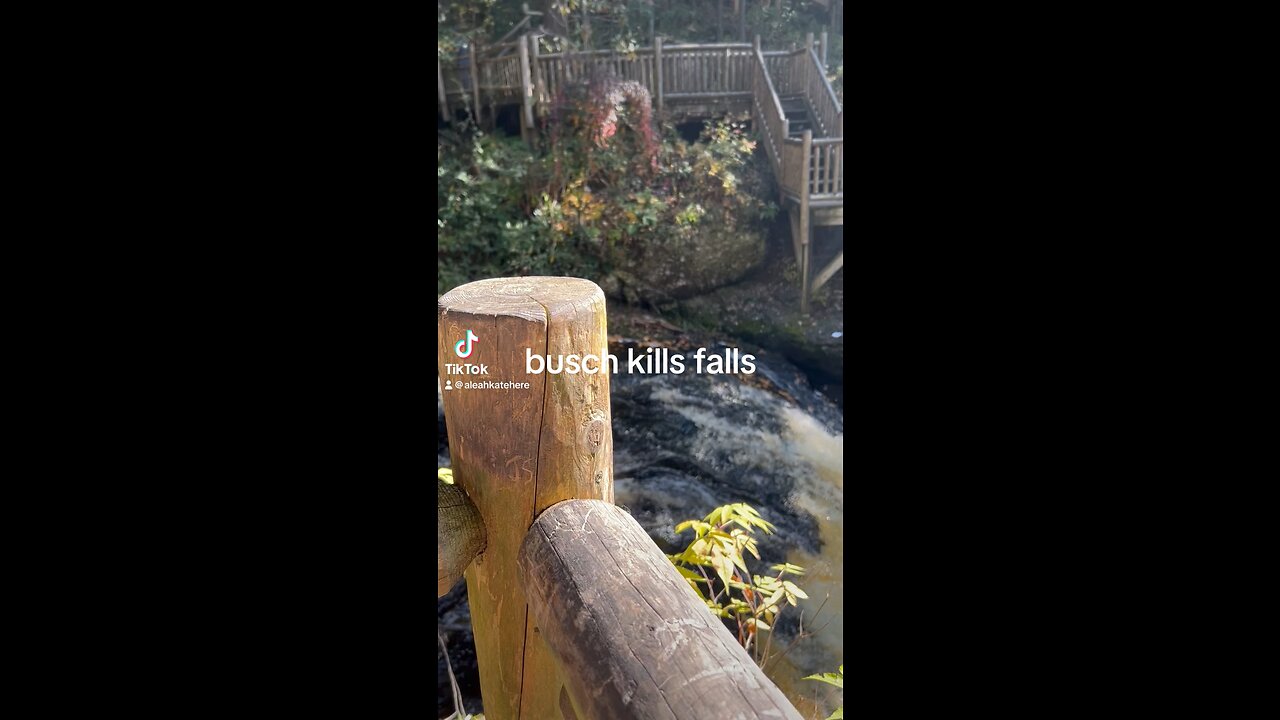 Busch Kills Falls