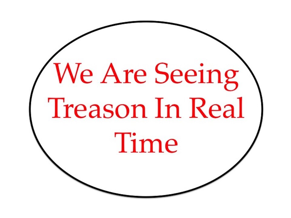 We Are Seeing Treason in Real Time