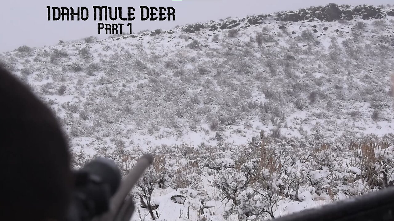 Mule Deer Memories: Idaho Mule Deer Part 1