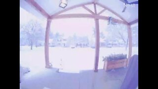 Viewer video of thundersnow across metro Detroit