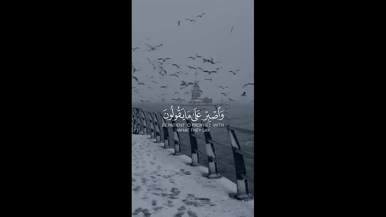 qurran recitation WhatsApp status