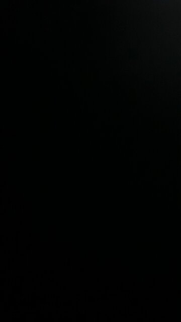 Wildwood Trump Rally