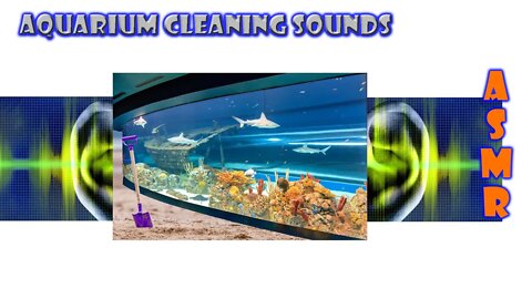 Aquarium cleaning sounds