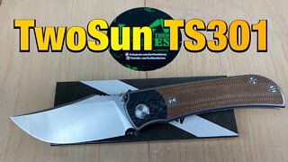 TwoSun TS301/includes disassembly/ great design and great build quality