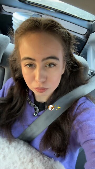 #doggie #dog #car #hi